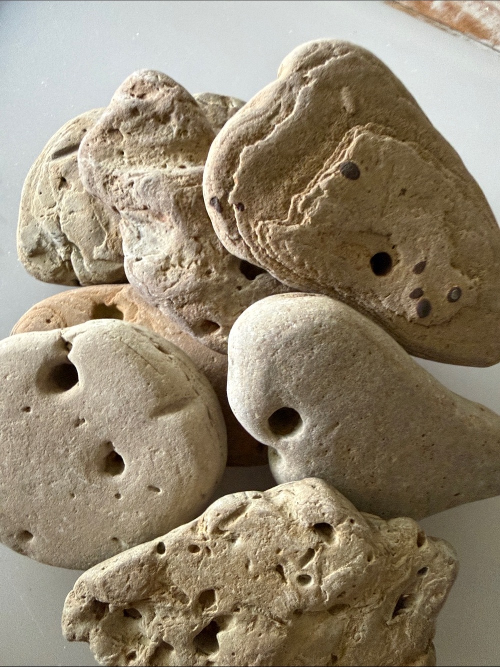 🪨6 Large Lake Michigan Hag Stones🪨 ~2.5”-3.5”